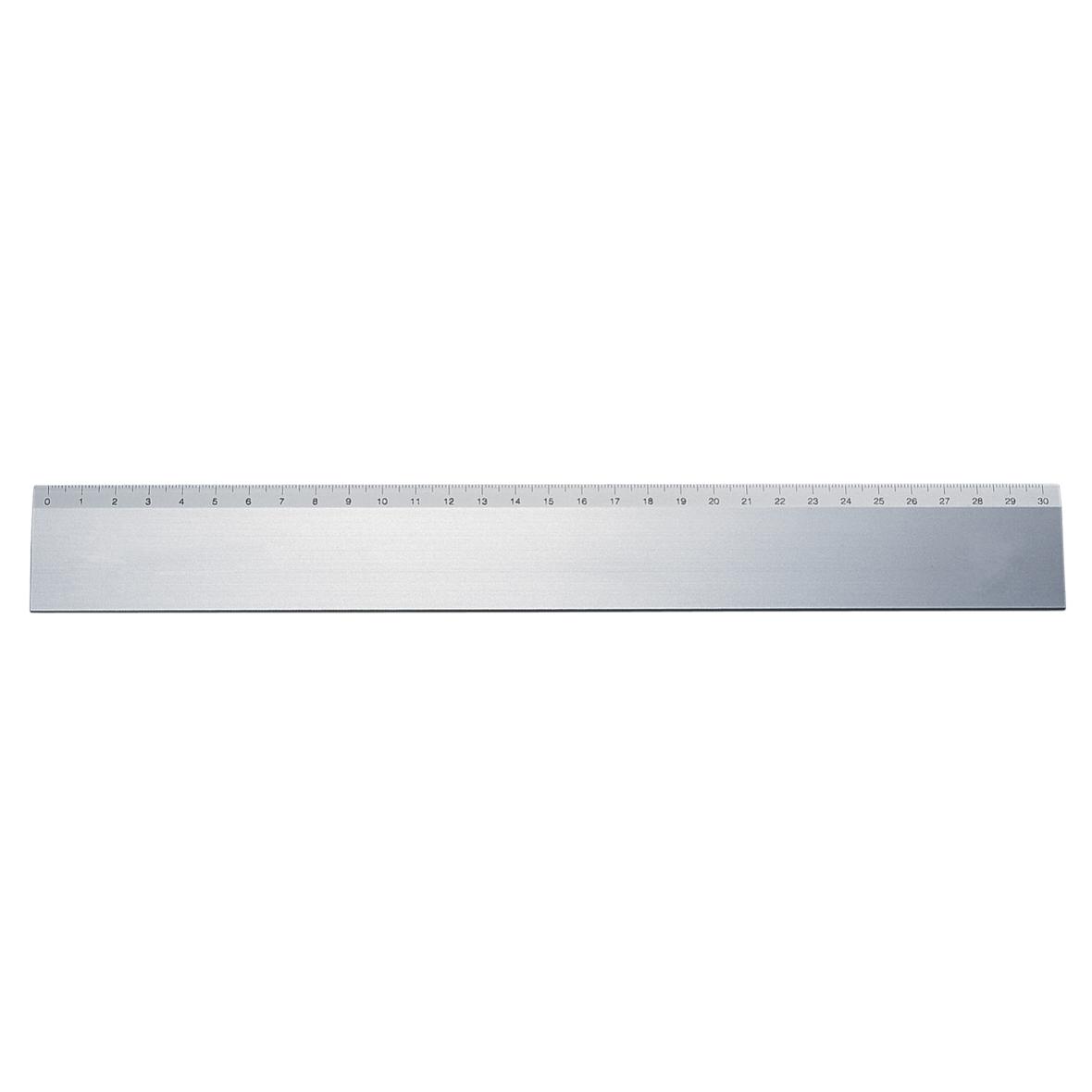 Metal lineal med trykt 30cm skala - Adam