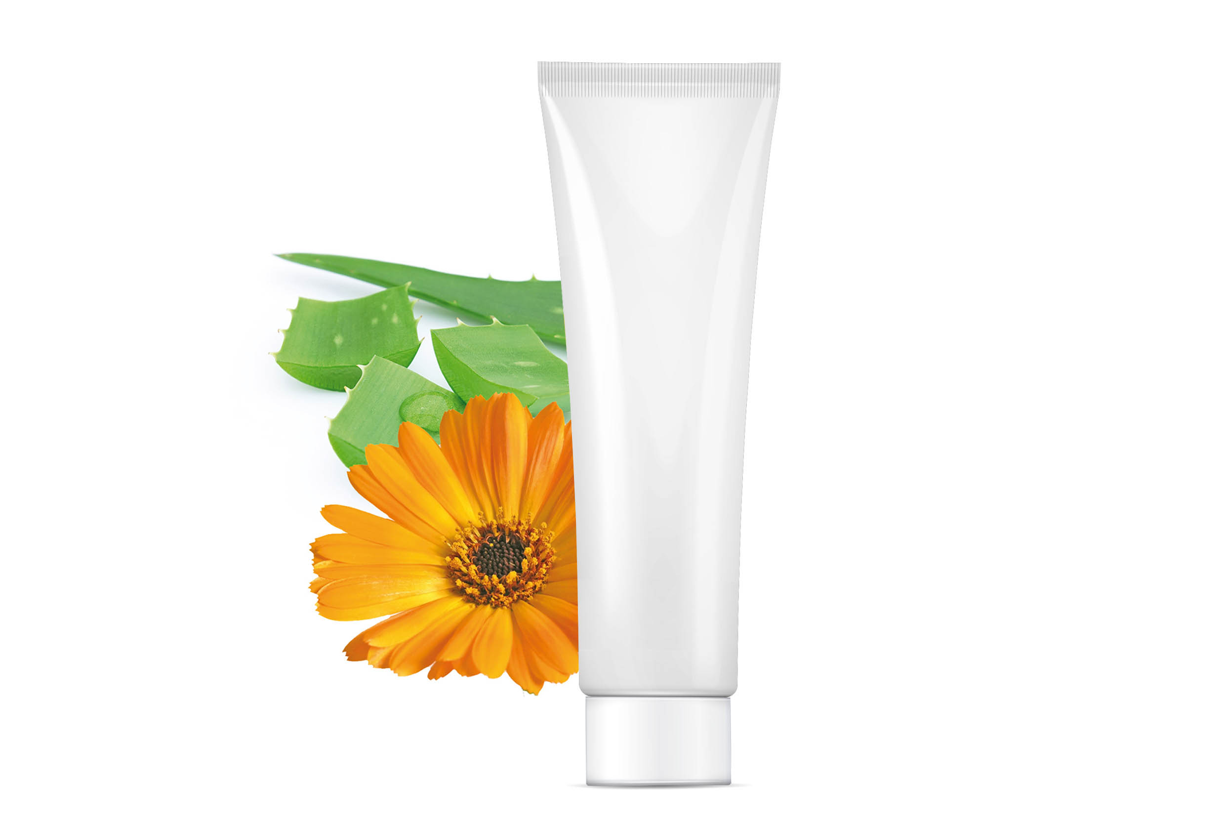 Naturlig antiinflammatorisk calendula og Aloe Vera fugtgivende balsam - Chloe